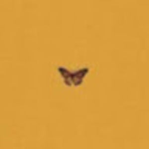 Meet your Posher, Mary carol